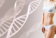 Dieta podle DNA: Na jakých principech funguje?
