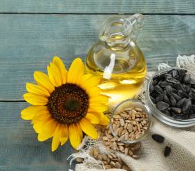 Slunečnicová semínka: Jaké výhody tělu přinášejí a proč si zaslouží místo ve vašem jídelníčku